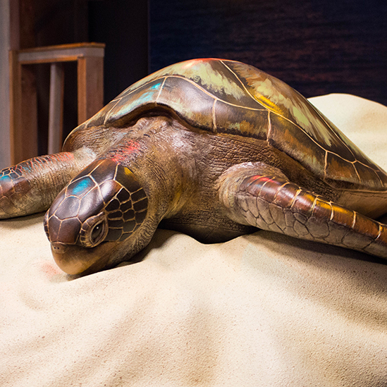 model of a sea turtle